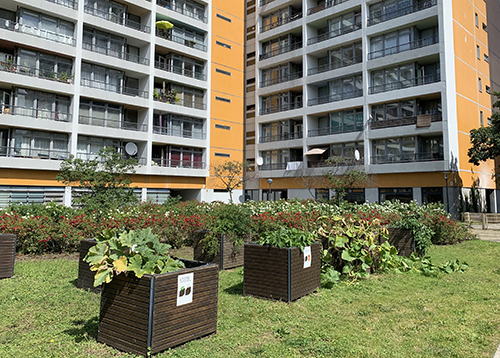 mehr garten