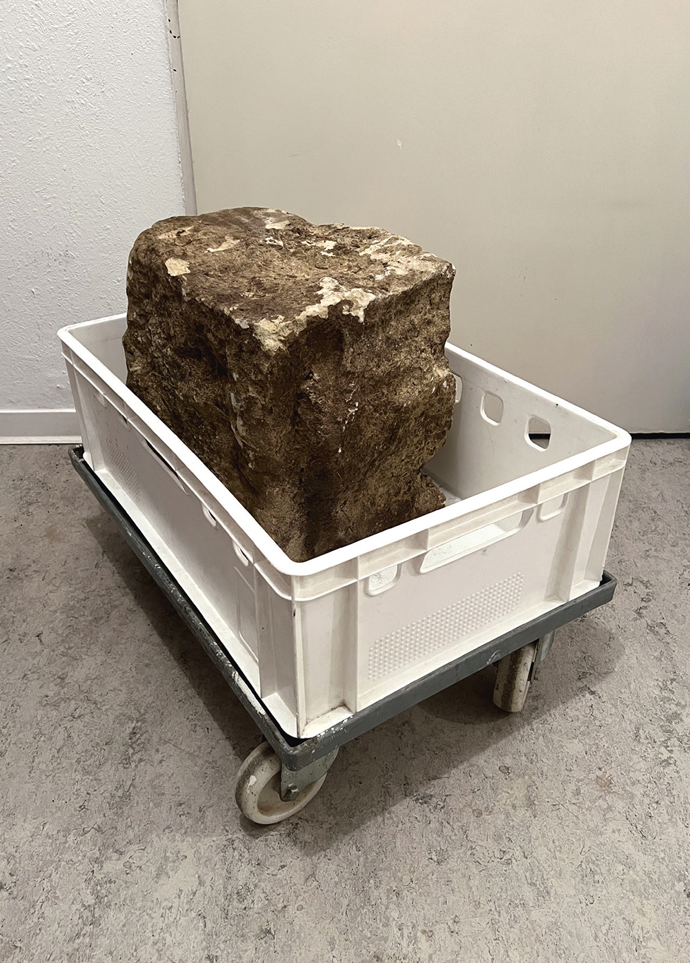 2025August Spaziergang Lesung Mehringplatz