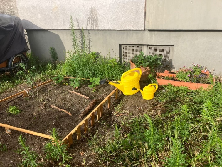 nachbarschaftliches gaertnern